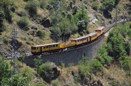 Train jaune 2